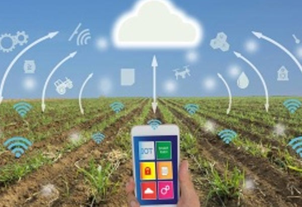 Key technologies of Internet of things applied in cold chain logistics of fruits and vegetables